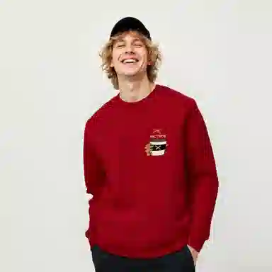 Arcteryx Emblem logo