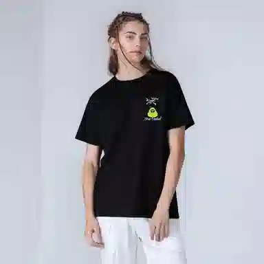 Arcteryx KRAGG logoT