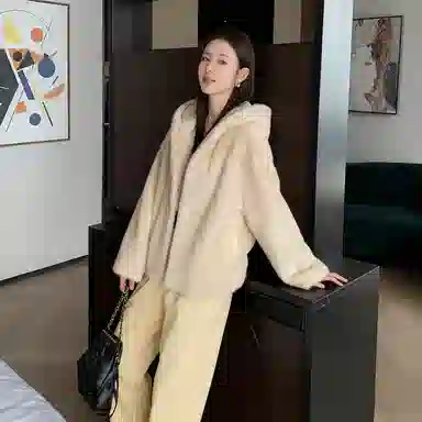 佐塞斯 高端品质轻奢天鹅绒水貂外套貂皮大衣女整貂短款连帽裘皮时尚冬季皮草 女款