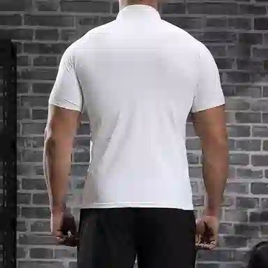 Tingqu T