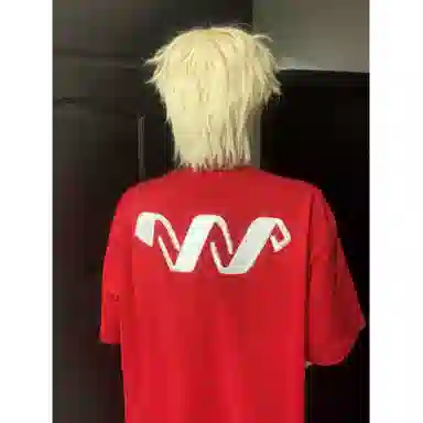 RVANGUARD T