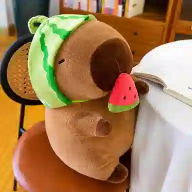 25cm30cm40cm50cm60cm