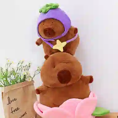 35cm45cm55cm75cm95cm