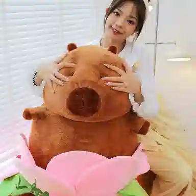 35cm45cm55cm75cm95cm