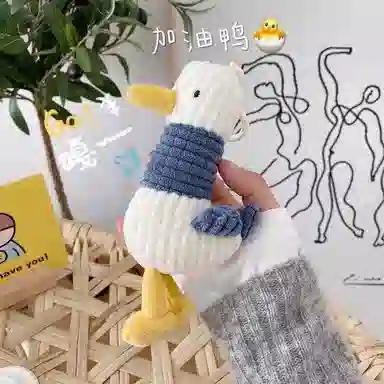 16cm