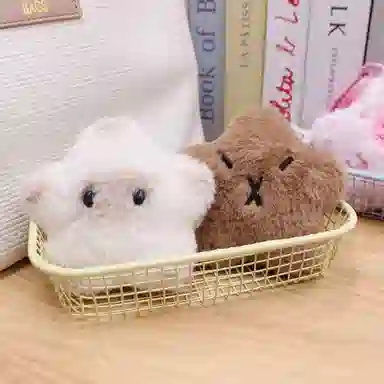 10cm