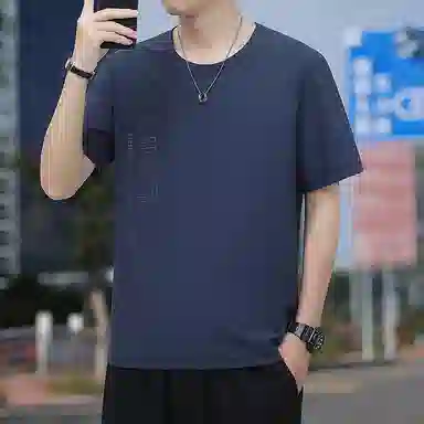 VNHP T