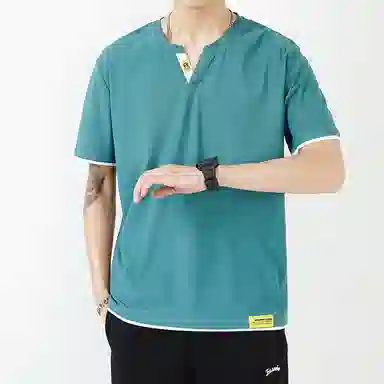 VNHP VT