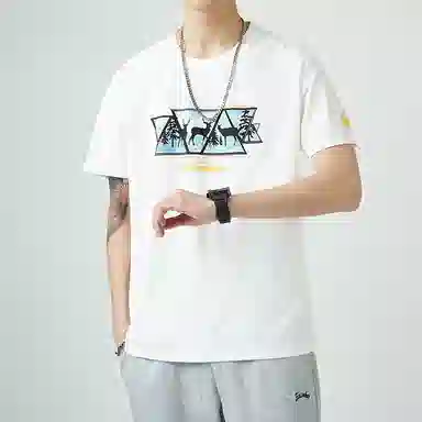 VNHP T