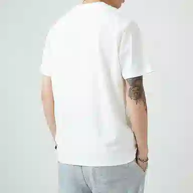 VNHP T