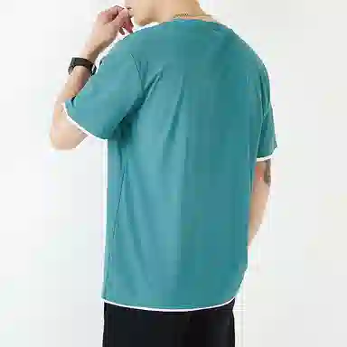 VNHP VT