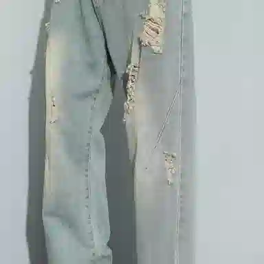 VNHP