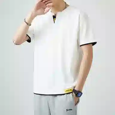 VNHP VT