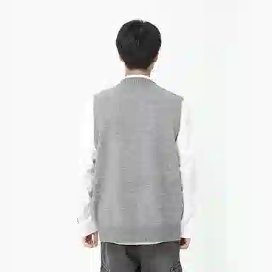 VNHP V