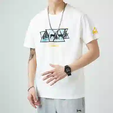 VNHP T