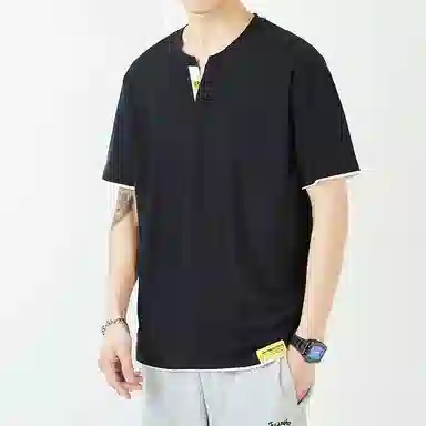 VNHP VT