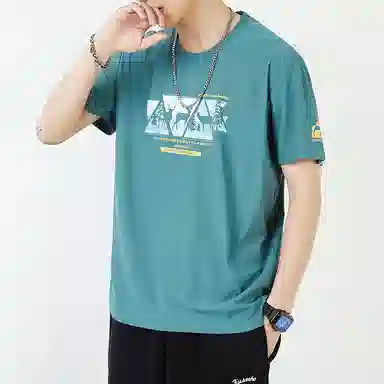 VNHP T
