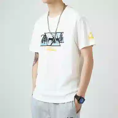 VNHP T