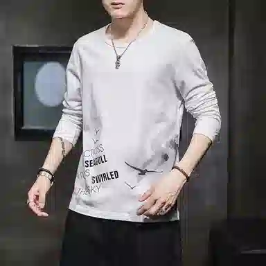 VNHP T