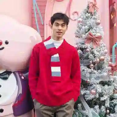 YGHOME OFFICIAL insV