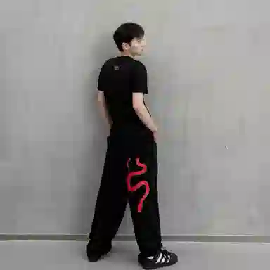 YGHOME OFFICIAL baggy