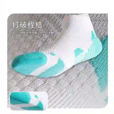 TLXT 1