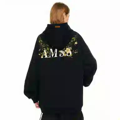 AIMISS Logo