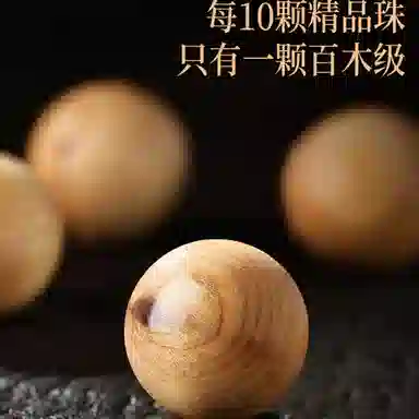 DBMB 108