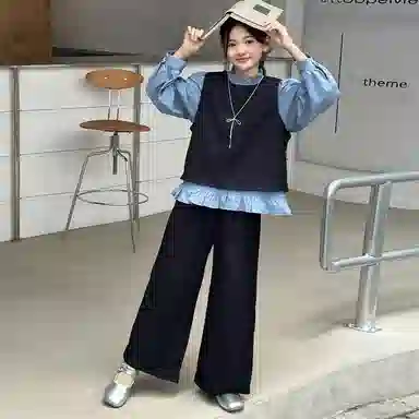 20253
