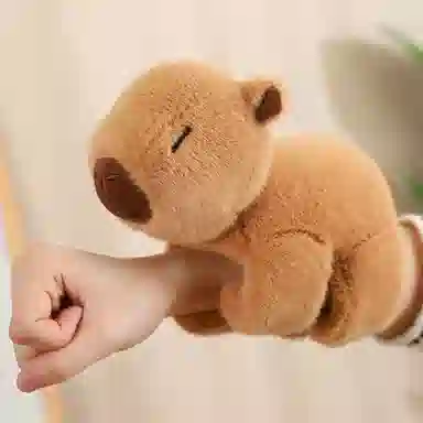20cm