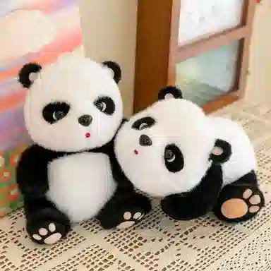 25cm30cm