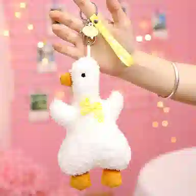 16cm