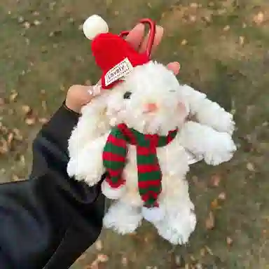 19cm