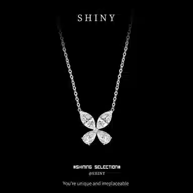 Aishina S925