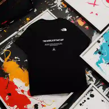 THE NORTH FACE VT