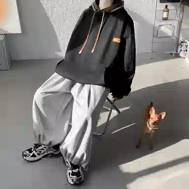 AOPAISHARK