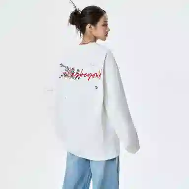 AOPAISHARK T