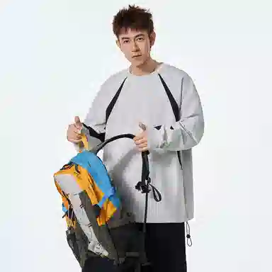 VIPGOOSE ins