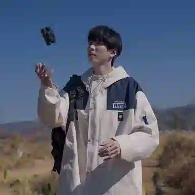 VIPGOOSE