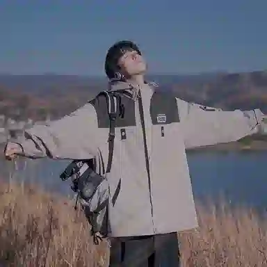 VIPGOOSE