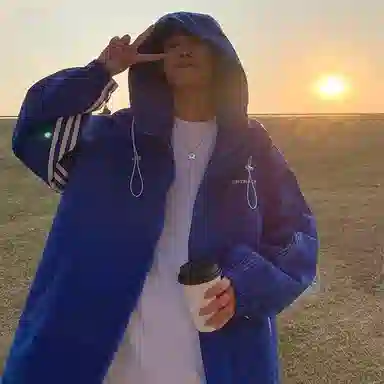 VIPGOOSE