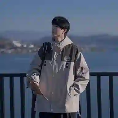 VIPGOOSE