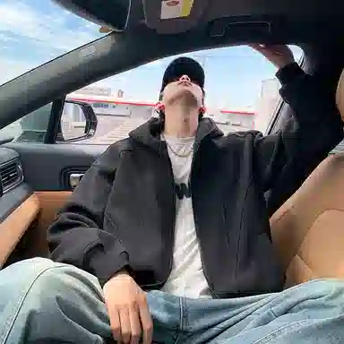 VIPGOOSE