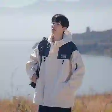 VIPGOOSE