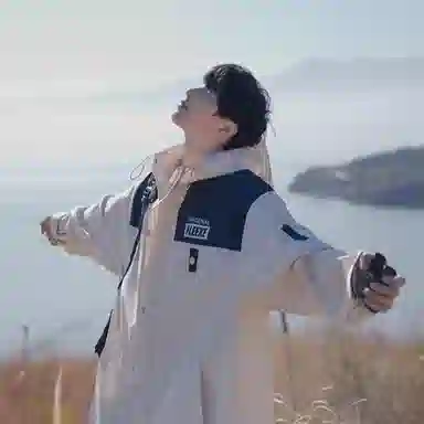 VIPGOOSE