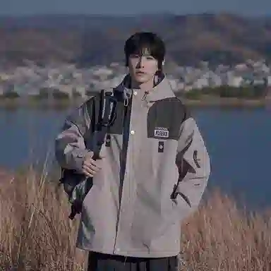 VIPGOOSE