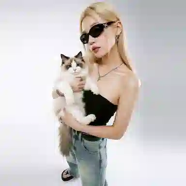 GROUND(ZER)O I.Tcleanfit