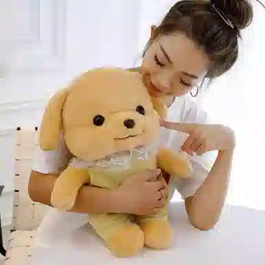 25cm35cm50cm