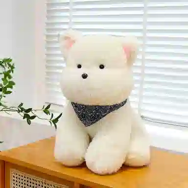 25cm35cm45cm60cm