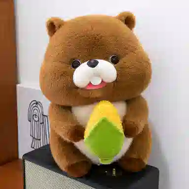 20cm30cm40cm